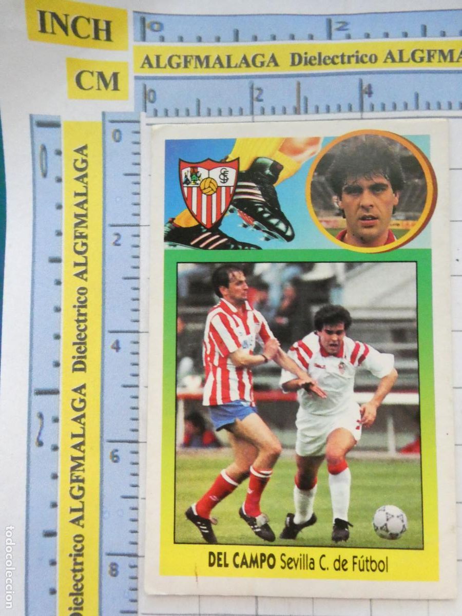 Coleccionismo Cromos antiguos: CROMO DE F&Uacute;TBOL. LIGA 93 94 1993 1994 ESTE. SEVILLA CLUB DE F&Uacute;TBOL DEL CAMPO. 468