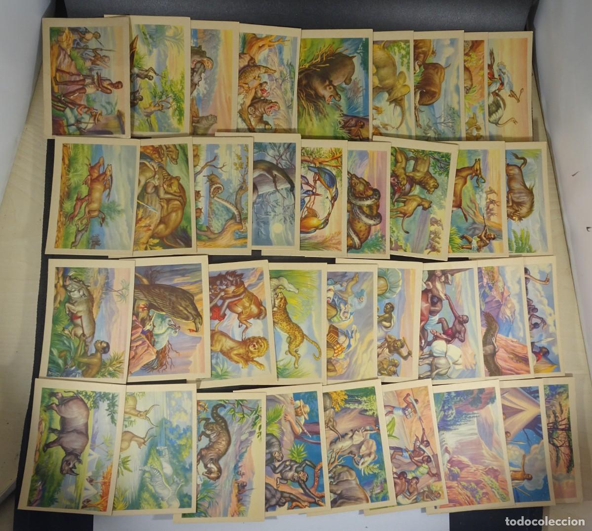Coleccionismo Cromos antiguos: NOTAS DE UN EXPLORADOR COMPLETO 36 CROMOS, VER FOTOS