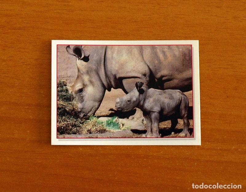 Coleccionismo Cromos antiguos: Cachorros - Baby Animals - N&ordm; 54 - Editorial Panini A&ntilde;o 1997 - Cromo Adhesivo Nunca Pegado