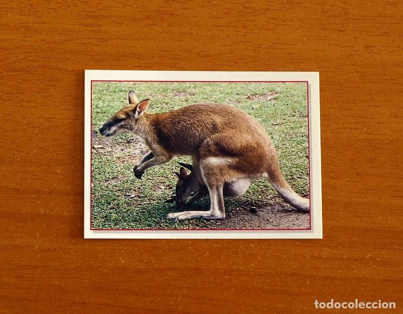 Coleccionismo Cromos antiguos: Cachorros - Baby Animals - N&ordm; 79 - Editorial Panini A&ntilde;o 1997 - Cromo Adhesivo Nunca Pegado