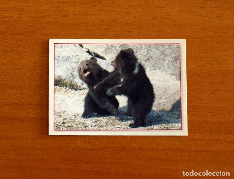Coleccionismo Cromos antiguos: Cachorros - Baby Animals - N&ordm; 81 - Editorial Panini A&ntilde;o 1997 - Cromo Adhesivo Nunca Pegado