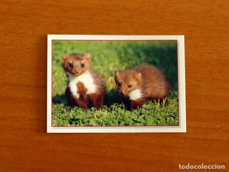 Coleccionismo Cromos antiguos: Cachorros - Baby Animals - N&ordm; 95 - Editorial Panini A&ntilde;o 1997 - Cromo Adhesivo Nunca Pegado