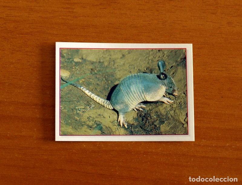 Coleccionismo Cromos antiguos: Cachorros - Baby Animals - N&ordm; 129 - Editorial Panini A&ntilde;o 1997 - Cromo Adhesivo Nunca Pegado