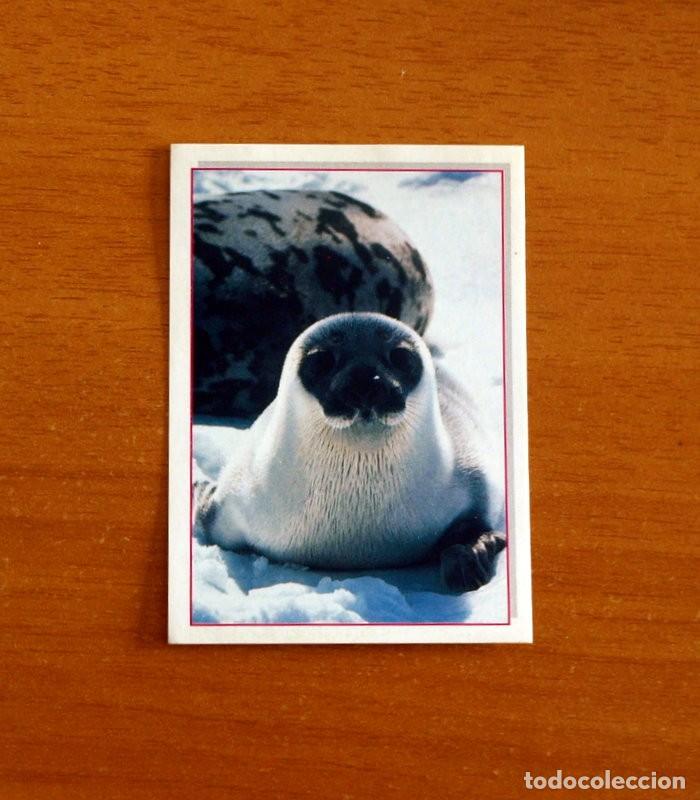 Coleccionismo Cromos antiguos: Cachorros - Baby Animals - N&ordm; 140 - Editorial Panini A&ntilde;o 1997 - Cromo Adhesivo Nunca Pegado