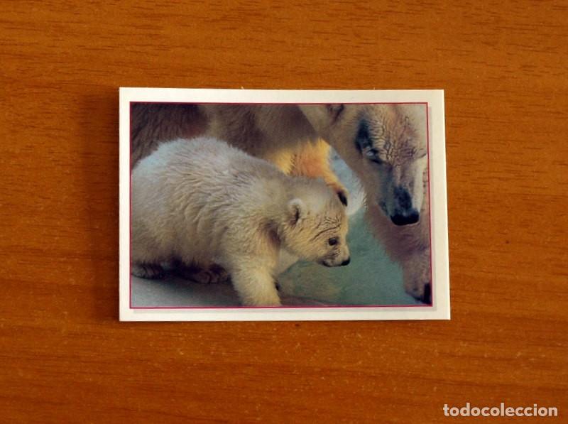 Coleccionismo Cromos antiguos: Cachorros - Baby Animals - N&ordm; 149 - Editorial Panini A&ntilde;o 1997 - Cromo Adhesivo Nunca Pegado