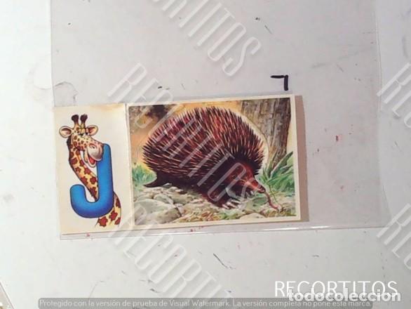 Coleccionismo Cromos antiguos: CROMO PANRICO BOLLYCAO BIMBO FAUNA EN PELIGRO N&ordm; 44