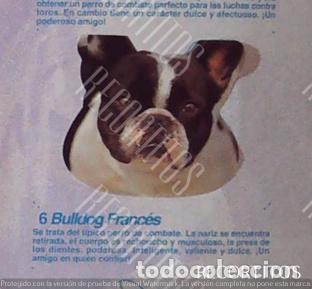 Coleccionismo Cromos antiguos: CROMO BOLLYCAO amigos y colegas 6