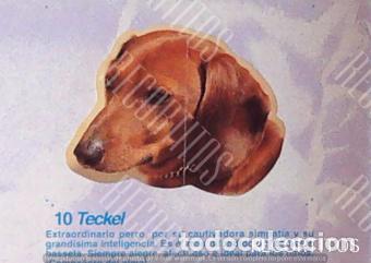 Coleccionismo Cromos antiguos: CROMO BOLLYCAO amigos y colegas 10
