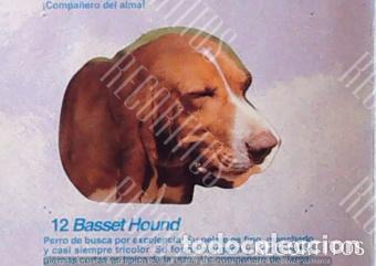 Coleccionismo Cromos antiguos: CROMO BOLLYCAO amigos y colegas 12