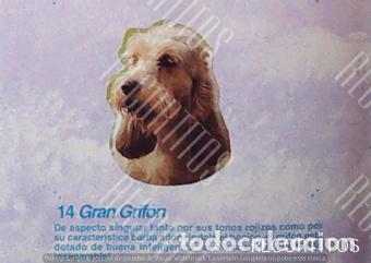 Coleccionismo Cromos antiguos: CROMO BOLLYCAO amigos y colegas 14