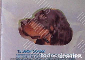 Coleccionismo Cromos antiguos: CROMO BOLLYCAO amigos y colegas 15