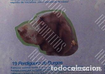 Coleccionismo Cromos antiguos: CROMO BOLLYCAO amigos y colegas 19