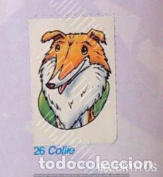 Coleccionismo Cromos antiguos: CROMO BOLLYCAO amigos y colegas 26