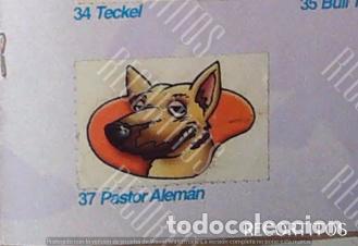 Coleccionismo Cromos antiguos: CROMO BOLLYCAO amigos y colegas 37