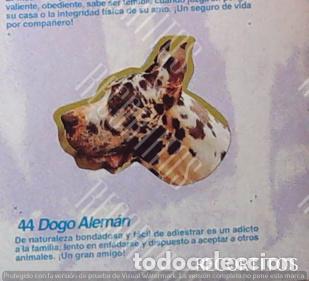 Coleccionismo Cromos antiguos: CROMO BOLLYCAO amigos y colegas 44