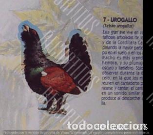 Coleccionismo Cromos antiguos: CROMO BOLLYCAO fauna en peligro 7