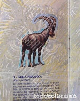 Coleccionismo Cromos antiguos: CROMO BOLLYCAO fauna en peligro 3