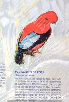 Coleccionismo Cromos antiguos: CROMO BOLLYCAO fauna en peligro 12