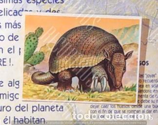 Collectionnisme Cartes &agrave; collectionner anciennes: CROMO BOLLYCAO fauna en peligro 11