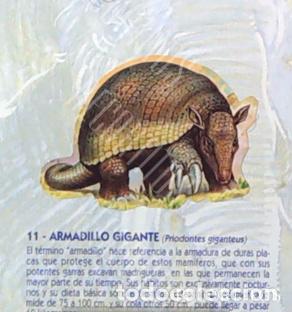Collezionismo Figurine antiche: CROMO BOLLYCAO fauna en peligro 11