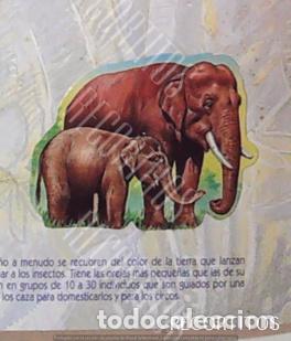 Collezionismo Figurine antiche: CROMO BOLLYCAO fauna en peligro 14