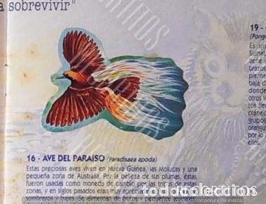 Collezionismo Figurine antiche: CROMO BOLLYCAO fauna en peligro 16