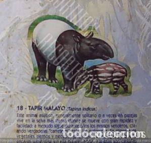 Collezionismo Figurine antiche: CROMO BOLLYCAO fauna en peligro 18