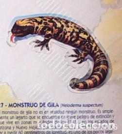 Collezionismo Figurine antiche: CROMO BOLLYCAO fauna en peligro 27