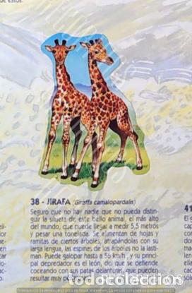 Collezionismo Figurine antiche: CROMO BOLLYCAO fauna en peligro 38