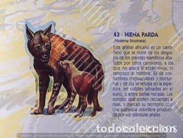Collezionismo Figurine antiche: CROMO BOLLYCAO fauna en peligro 43
