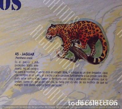 Collezionismo Figurine antiche: CROMO BOLLYCAO fauna en peligro 45