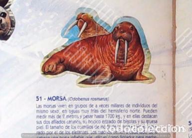 Coleccionismo Cromos antiguos: CROMO BOLLYCAO fauna en peligro 51
