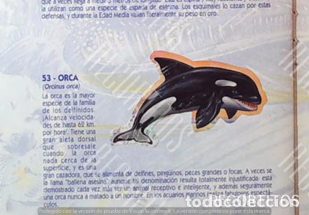 Collezionismo Figurine antiche: CROMO BOLLYCAO fauna en peligro 53