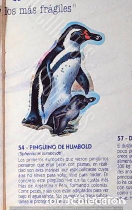 Collectionnisme Cartes &agrave; collectionner anciennes: CROMO BOLLYCAO fauna en peligro 54