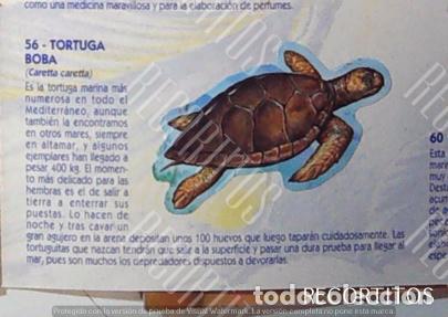 Collectionnisme Cartes &agrave; collectionner anciennes: CROMO BOLLYCAO fauna en peligro 56