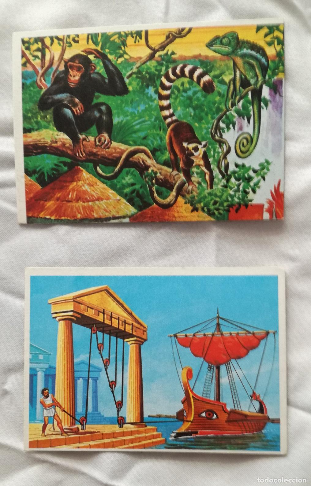 Coleccionismo Cromos antiguos: Lote de 2 cromos del album Tecnica y Accion, ESTE - Nunca pegados
