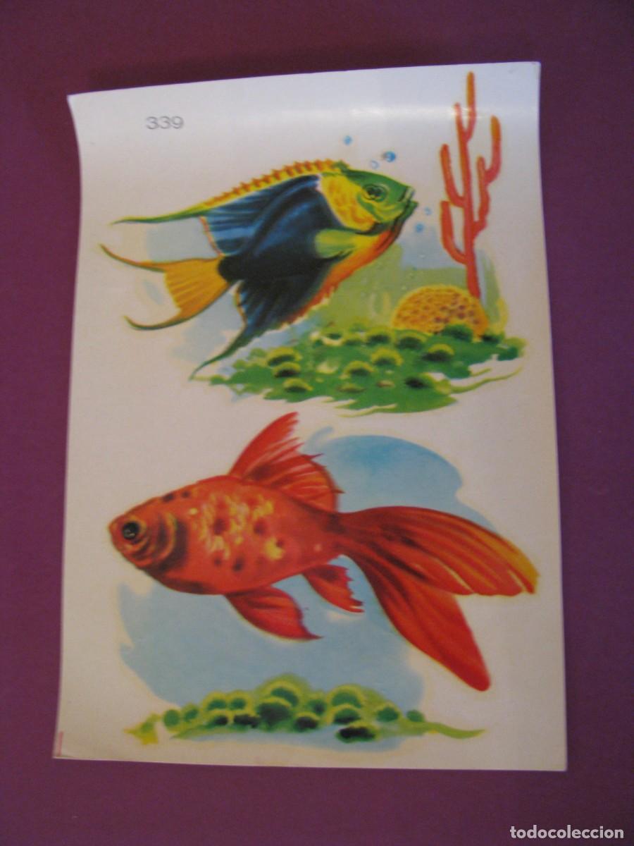 Coleccionismo cromos antiguos: CALCOMANIAS NUBIOLA. N&ordm; 339