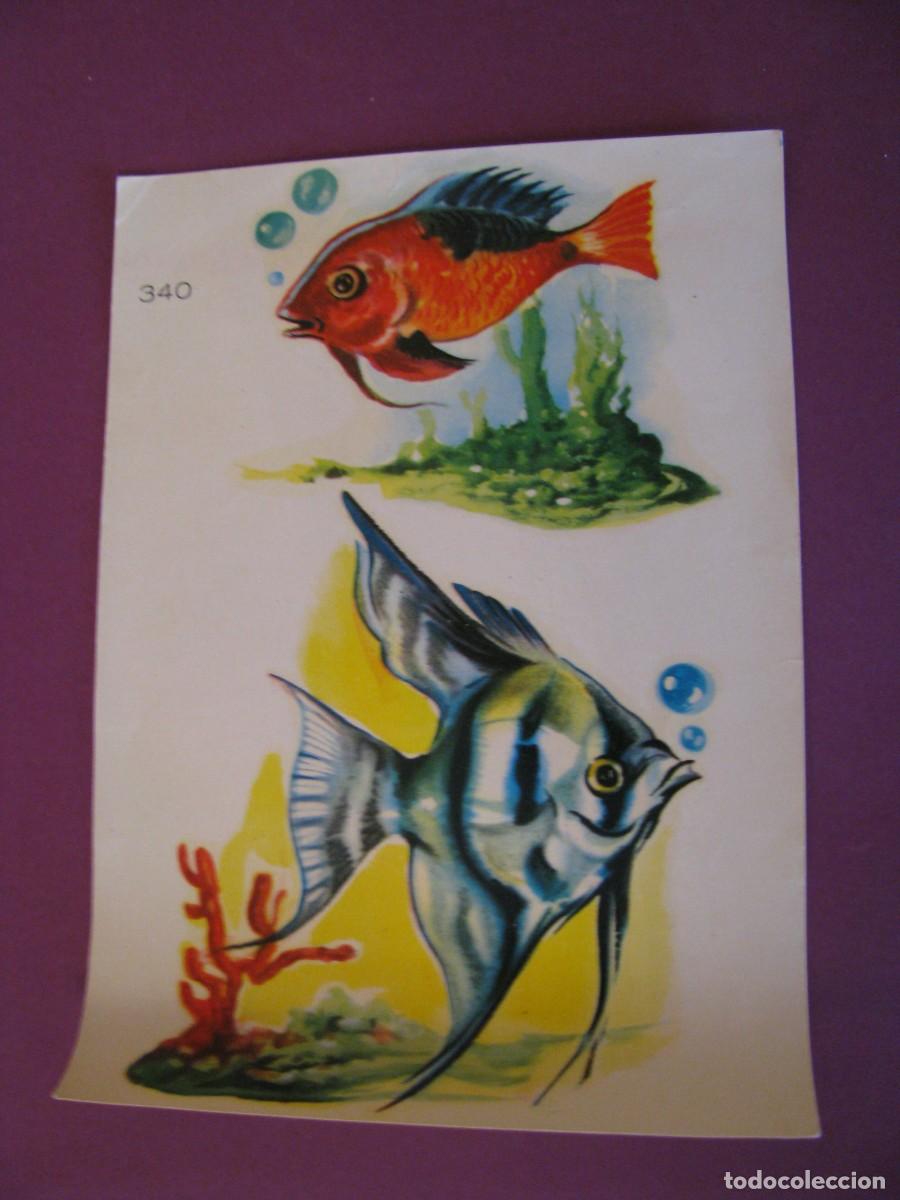 Coleccionismo cromos antiguos: CALCOMANIAS NUBIOLA. N&ordm; 340