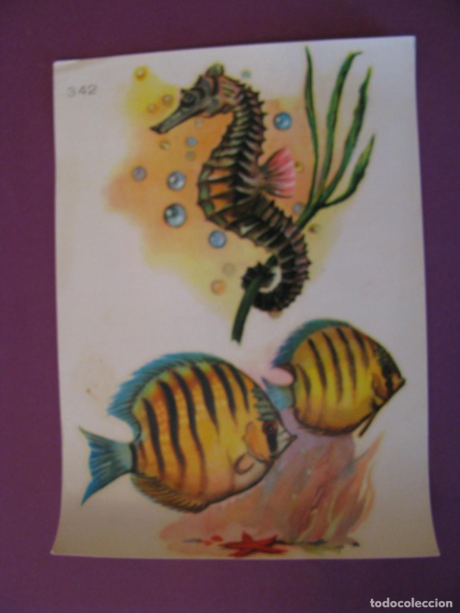 Coleccionismo cromos antiguos: CALCOMANIAS NUBIOLA. N&ordm; 342