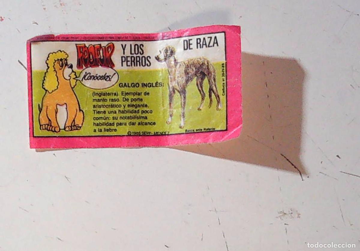 Coleccionismo cromos antiguos: cromo chicle foofur fofur fufur