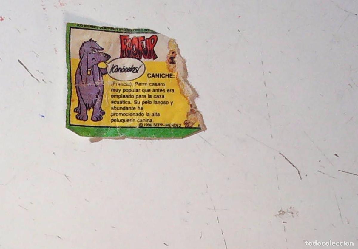 Coleccionismo cromos antiguos: cromo chicle foofur fofur fufur