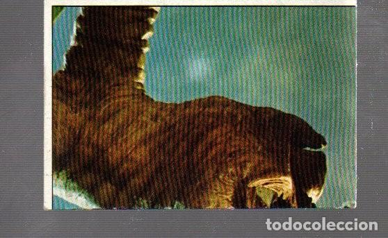 Coleccionismo cromos antiguos: CROMO DE E.T. EL EXTRATERRESTRE SIN PEGAR N&ordm; 88 / DEL A&Ntilde;O 1982 DE EDICI&Oacute;N ESTE NO PEGADO