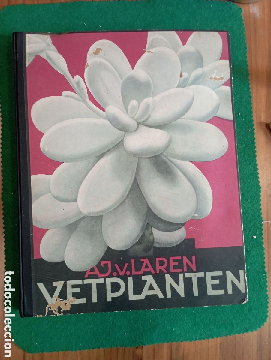 Coleccionismo cromos antiguos: Album completo Verkade 1932 &rdquo;Plantas suculentas&rdquo; 126 cromos