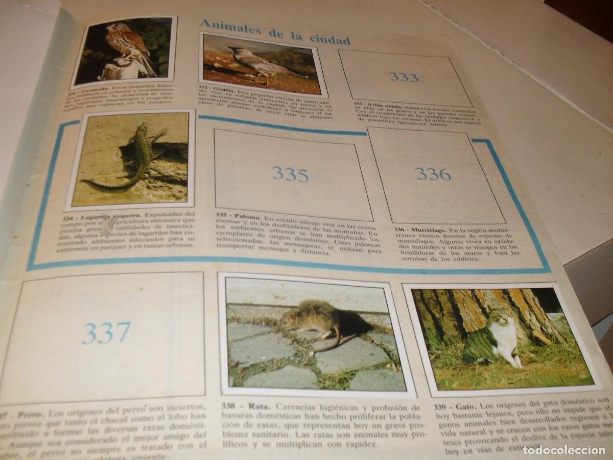 Coleccionismo cromos antiguos: LAMINA N&ordm; 45-46,CON 6 CROMOS(LEASE)DEL ALBUM PANINI NATURALEZA EN PELIGRO,1987