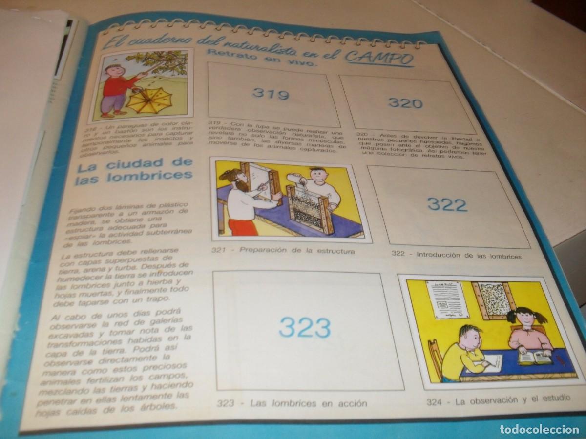 Collezionismo Figurine antiche: LAMINA N&ordm; 43-44,CON 8 CROMOS(LEASE)DEL ALBUM PANINI NATURALEZA EN PELIGRO,1987