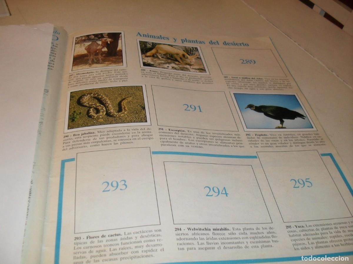 Collezionismo Figurine antiche: LAMINA N&ordm; 41-42,CON 8 CROMOS(LEASE)DEL ALBUM PANINI NATURALEZA EN PELIGRO,1987