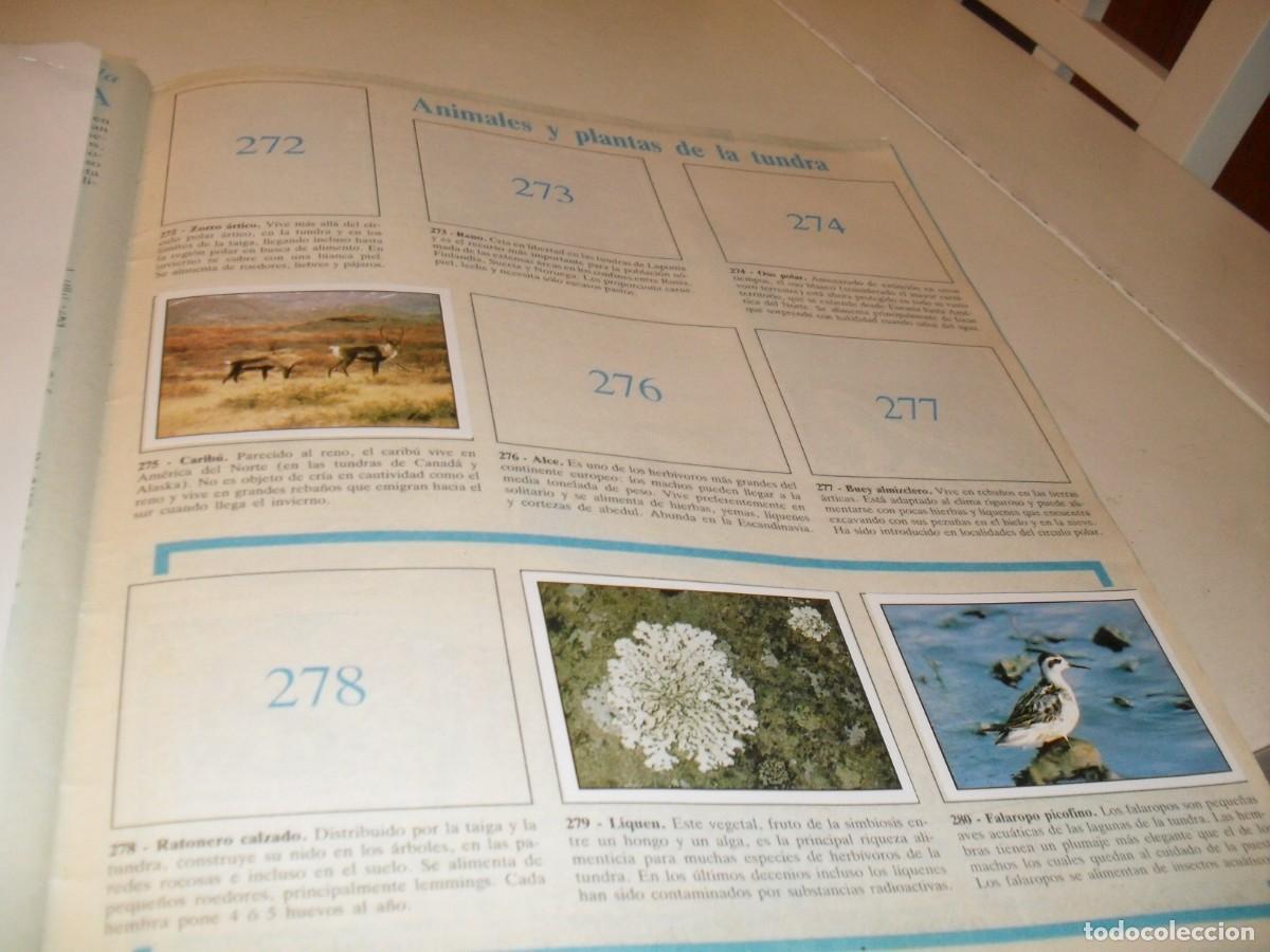 Coleccionismo cromos antiguos: LAMINA N&ordm; 37-38,CON 7 CROMOS(LEASE)DEL ALBUM PANINI NATURALEZA EN PELIGRO,1987