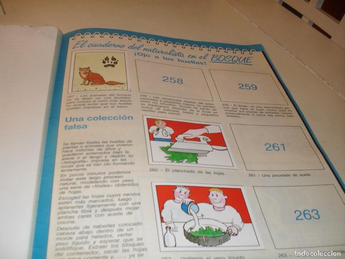 Coleccionismo cromos antiguos: LAMINA N&ordm; 35-36,CON 5 CROMOS(LEASE)DEL ALBUM PANINI NATURALEZA EN PELIGRO,1987