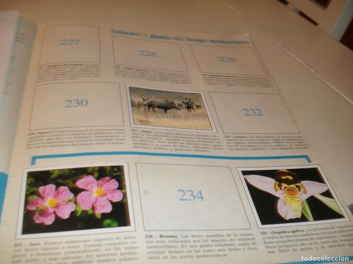 Coleccionismo cromos antiguos: LAMINA N&ordm; 31-32,CON 5 CROMOS(LEASE)DEL ALBUM PANINI NATURALEZA EN PELIGRO,1987