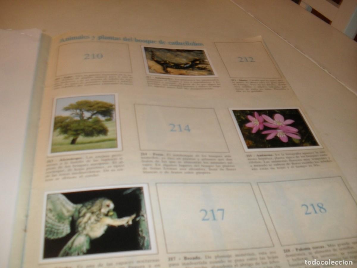 Coleccionismo cromos antiguos: LAMINA N&ordm; 29-30,CON 7 CROMOS(LEASE)DEL ALBUM PANINI NATURALEZA EN PELIGRO,1987